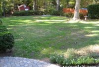 How to Plant and Grow Grass in Your Backyard This Season