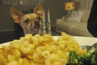 Free Supper Swap: Smart Ways to Manage Dinner Plans