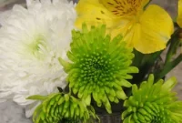Affordable Floral Ideas to Start Your Year with Fresh Blooms