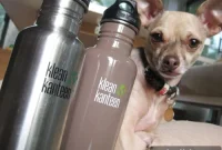 Do Receipts Contain BPA? What You Need to Know