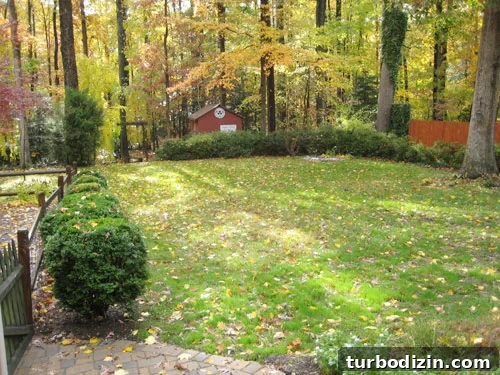 featured 21929