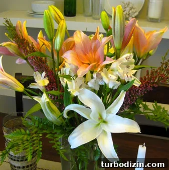 featured 24682