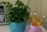 Affordable April Houseplants: Fresh Greenery Tips and Picks
