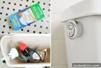 Install a Dual-Flush Toilet Kit: Step-by-Step Guide