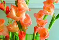Pink Flower Bouquet Ideas: Romantic Arrangements for Any Occasion