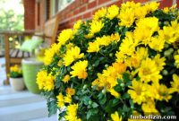 Quick Front Porch Updates to Refresh Your Curb Appeal