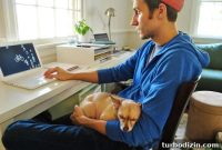Helping Your Dog Settle Into a New Home Quickly