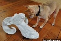 How to Choose a Ceramic Ram Wall Sculpture for Your Home
