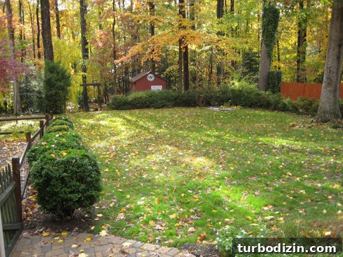 featured 3327