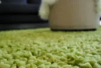 Lush Green Shag Rug Ideas for a Cozy Living Room