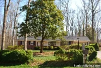 How Tree Limbing Restores Your View of the House