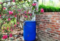 Install a Rain Barrel: Step-by-Step Guide for Your Garden