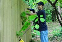 Step-by-Step Guide to Building a Backyard Fence