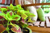 Porch Makeover Ideas to Boost Your Home’s Curb Appeal
