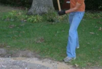Removing Chair Rail and Demoing a Slate Path: Step-by-Step Guide