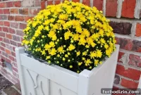 Yellow Front Door Porch Makeover: Adding Fall Mums for Color