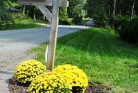 Mailbox Landscaping Ideas to Boost Curb Appeal and Function