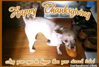 Thanksgiving Ideas: Gobble Gobble Recipes and Party Tips