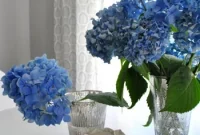 How to Cut Curtain Panels to Make Extra Drapes