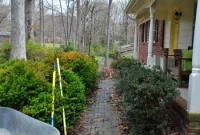 How to Clear and Maintain a Pathway to Your Front Door