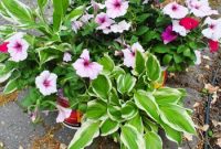 Front Yard Landscaping: Transformations & Before-and-After Ideas