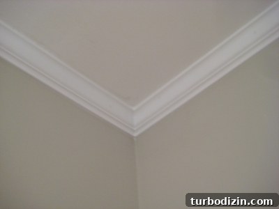 featured 476