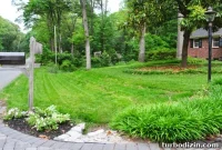 How to Seed Bare Dirt Spots to Grow a Thick Lawn