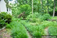 Outdoor Makeover: Complete Landscaping Tour and Updates