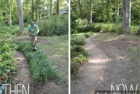 Gradually Transforming Our Yard: Step-by-Step Landscaping Updates