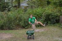 Prepare Your Lawn for Grass Seed: Step-by-Step Prep Guide