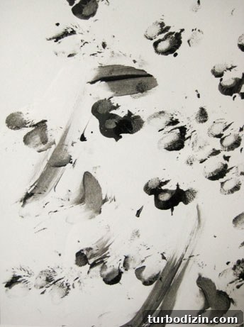 featured 5353