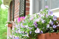 How to Install Window Boxes for Beautiful Outdoor Planters