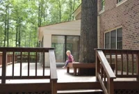 Large Tree Growing Too Close to Your House? What to Do and Risks
