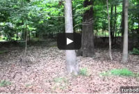 Outdoor Tour of Our New Home: Yard, Garden, and Exterior Features