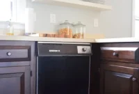 Change Your Dishwasher’s Color: Step-by-Step Guide