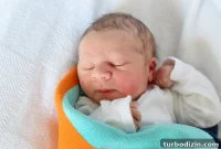 He’s Here! New Arrival Announcement and Celebration Guide