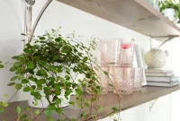 Build Long Reclaimed Wood Shelves: Step-by-Step Guide