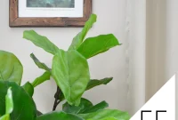 What Is Feng Shui and Are We Getting It Wrong?