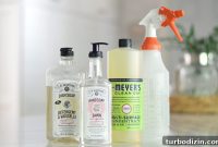 Top Eco-Friendly Household Cleaners and Personal Care Picks