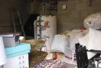 Decluttered Detached Basement: Remodel Ideas and Storage Solutions