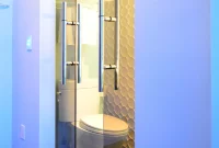 What Happened to Bathroom Privacy? Exploring the Loss of Personal Space