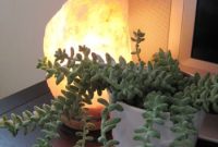 Do Himalayan Salt Lamps Really Work? Benefits and Science Explained