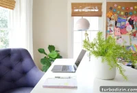 Low-Maintenance Houseplants and Lifelike Faux Alternatives
