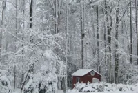 Snow Day Activities: Fun Ideas for Families and Kids