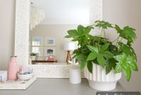 Episode 149: The Story That Turned Me Into a Plant Lover