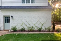 DIY Garden Trellis: Step-by-Step Guide to Build Your Own