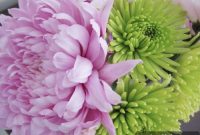 Affordable Spring Bouquets: March Flower Arranging Guide