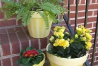 Paint Terra Cotta Pots: Step-by-Step Guide for Long-Lasting Results