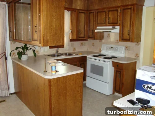 Dark Wood Kitchen Island with Crisp White Cabinets: Inspiring Design Ideas 2 scary-bad-ugly-kitchen-before-picture