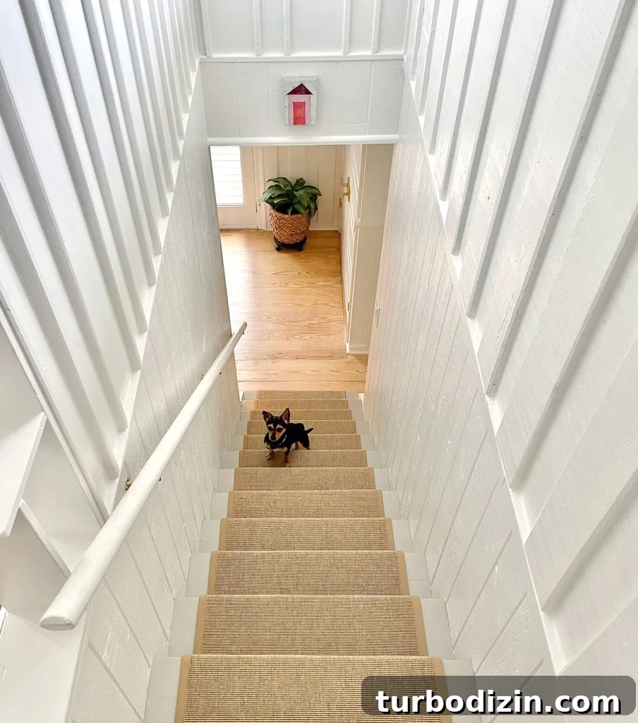 Meet Penny Petersik: Designer, Author, and Home Style Expert 13 Chihuhua yorkie mix dog standing on staircase with seagrass runner